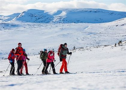 A group of people doing nordic skiing.