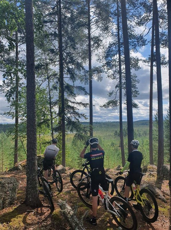 Tre personer står med sina cyklar och tittar på utsikten. 