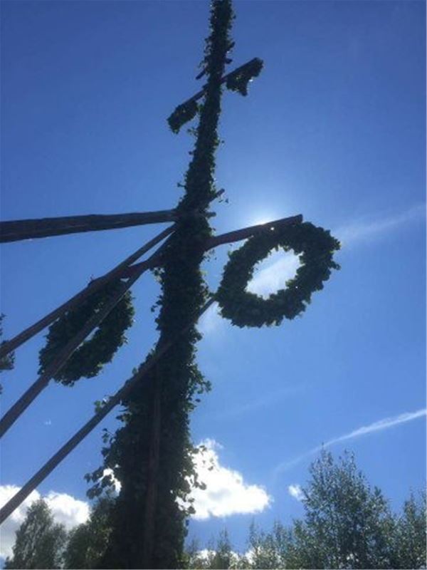Midsummer pole is raised and photographed as a silhuett in the sun. 