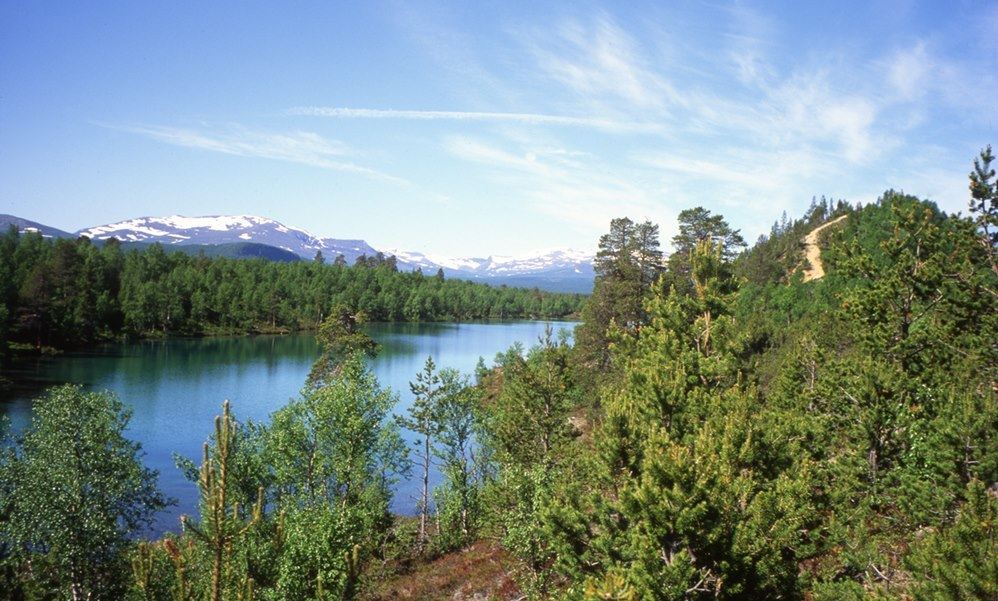 Vålågårdens Värdshus & Camping