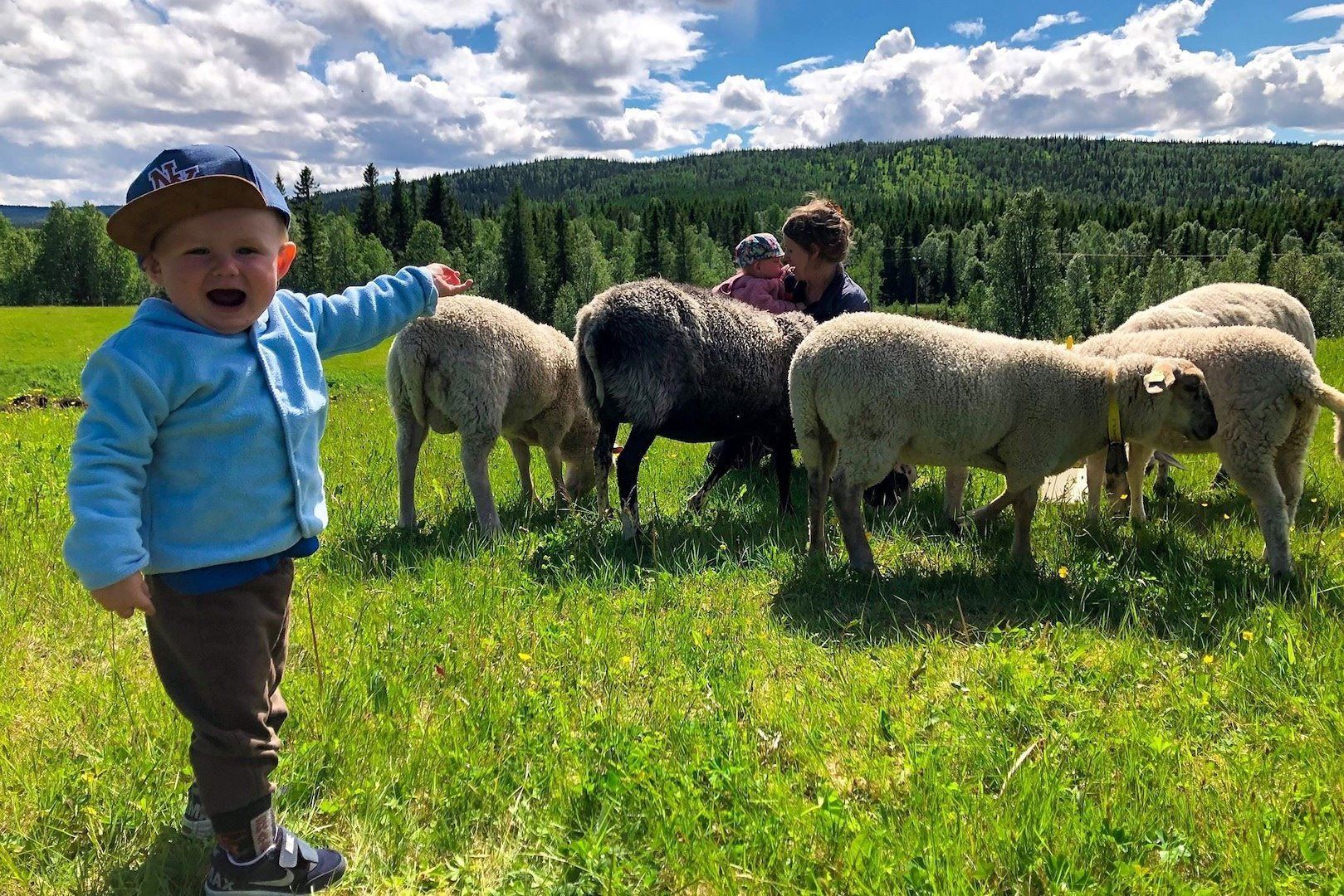 STF Björkvattnet Vandrarhem