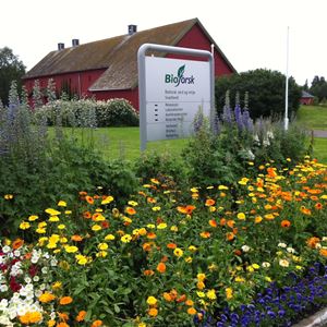 Visitor Centre for Øvre Pasvik National Park/NIBIO Svanhovd