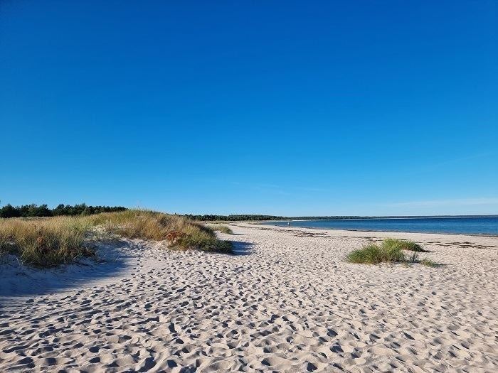 STF Böda Vandrarhem