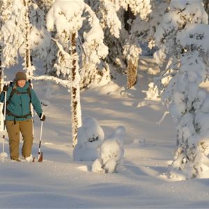  © Jens Sarlin, På skidor genom vinterskogen.
