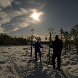  © Jens Sarlin, På skidor i månsken.