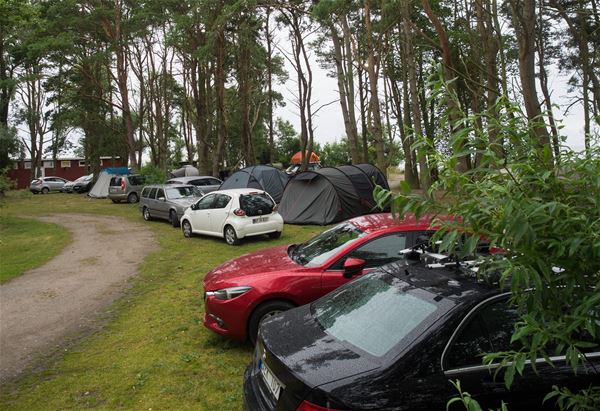 Camping - Stenåsa Stugor & Camping  