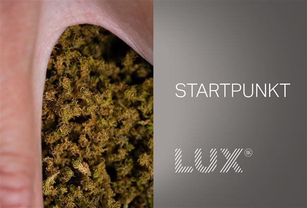 Utställning LUX – Startpunkt