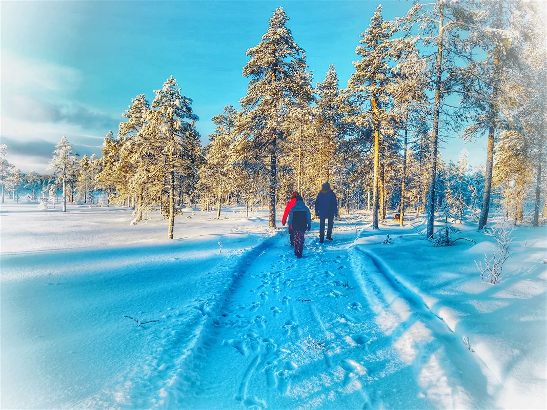 Several people are walking on a path with snow.