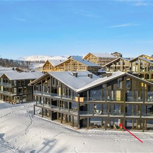 Terje Bjørnsen, Kikut Alpine Lodge Apt 9103