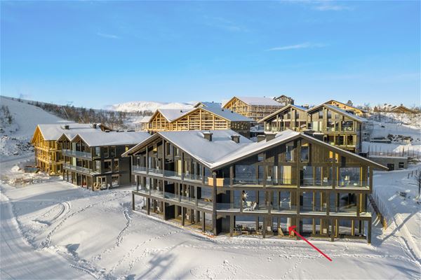 Terje Bjørnsen, Kikut Alpine Lodge Apt 9103 