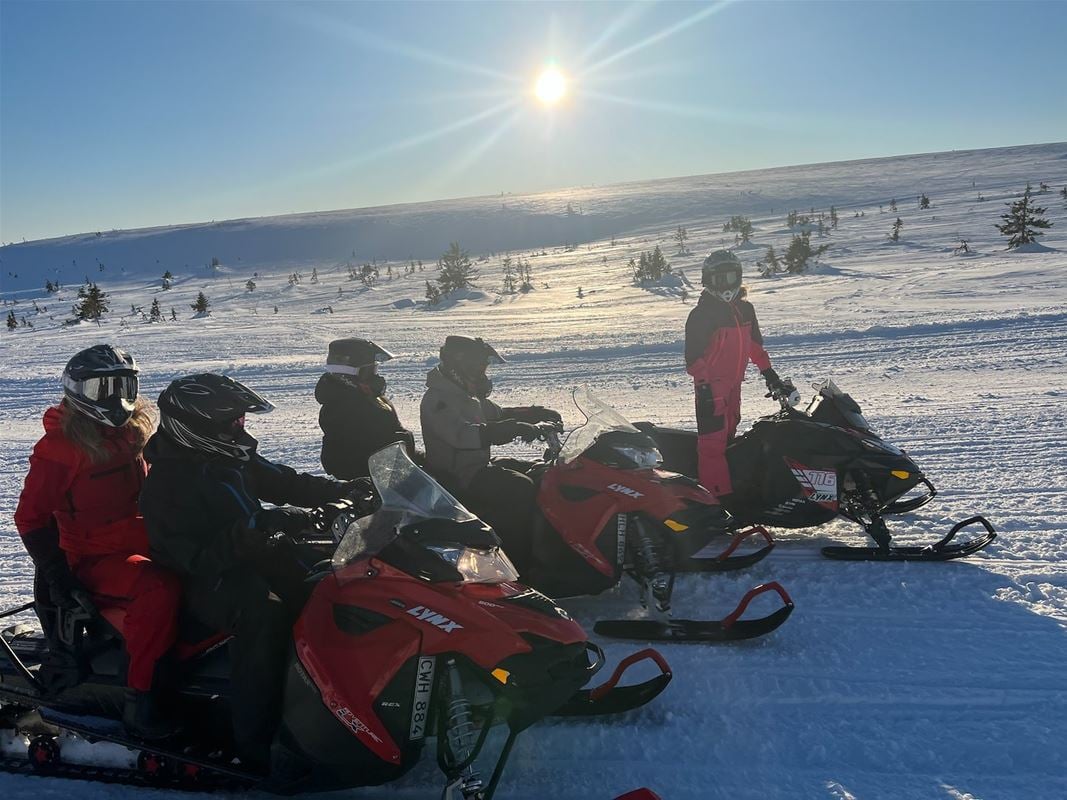 Snowmobiles in a row on the snow covered mountain on a sunny winter day. 