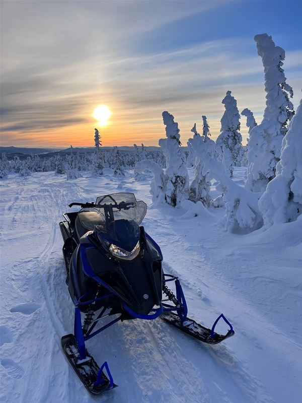 Snowmobile on the trail in the sunset. 