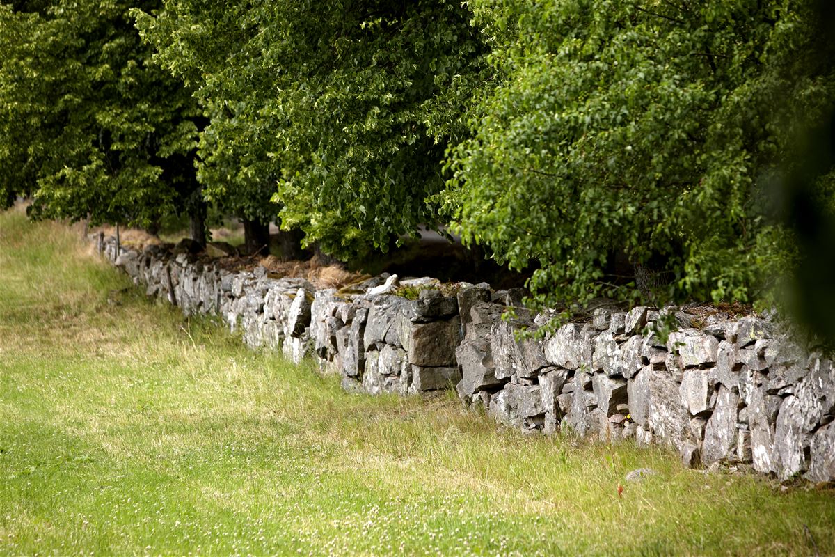 Nature reserve Husebymaden (copy) image 1