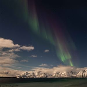 Northern Lights above the mountains and fjord
