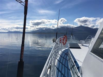 Båtdekk med fiskestenger