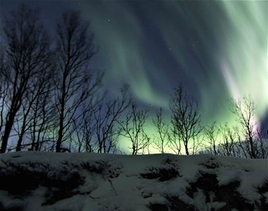 Northern lights near Tromsø