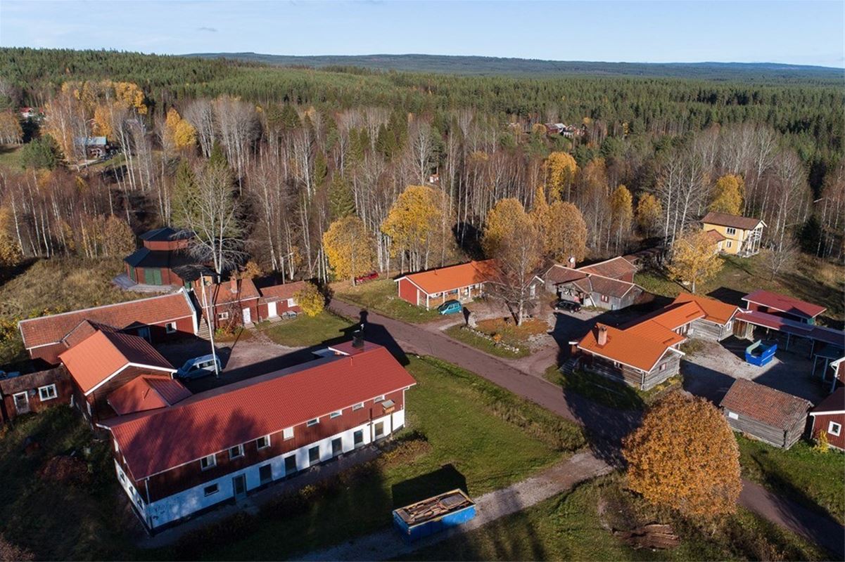 Flygfoto över Hornberga Gård en höstdag. 