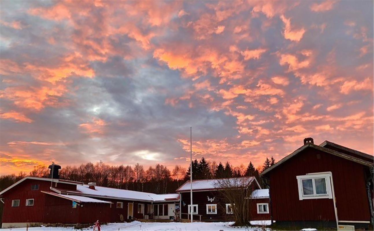 Hornberga Gård with pink clouds on the sky. 