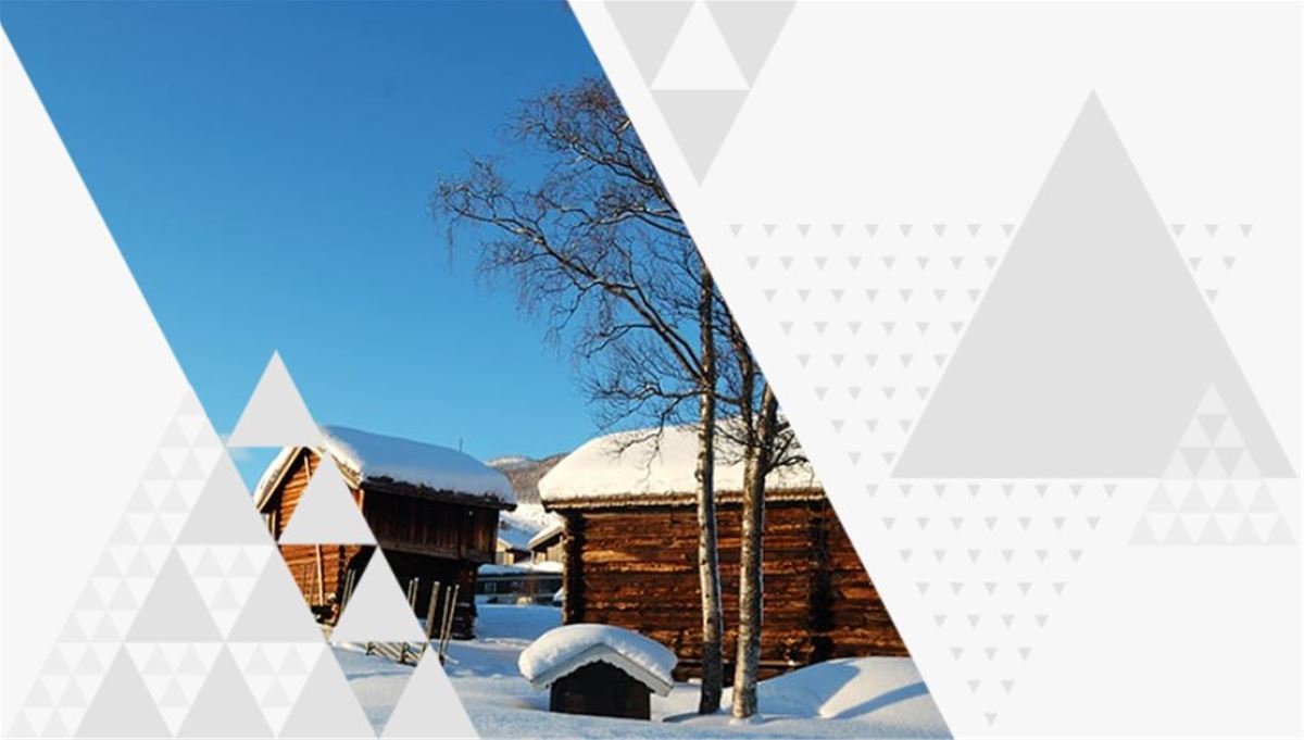 Azets Insight AS avdeling Hallingdal image 1