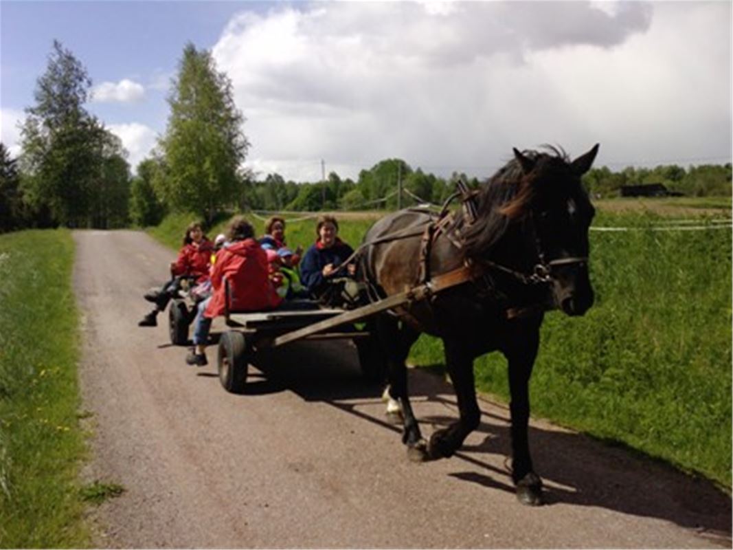 En häst som drar en vagn med flera personer i med sommargrönska runtom. 