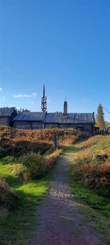 Timrat hus på Rots Skans på hösten.