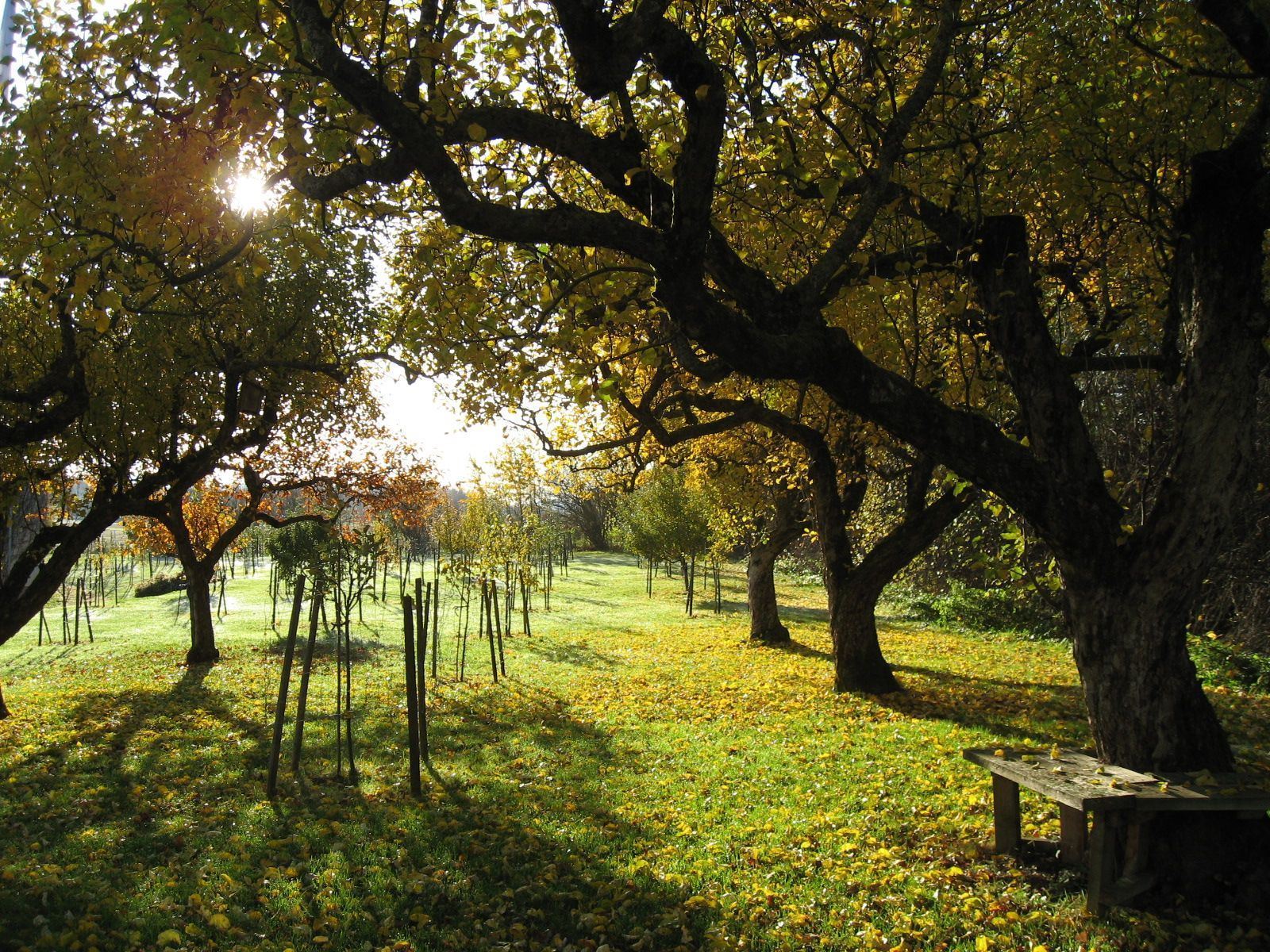 STF Vassbo Logi & Event Falun