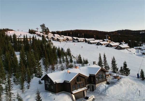 Alpine Lodge 