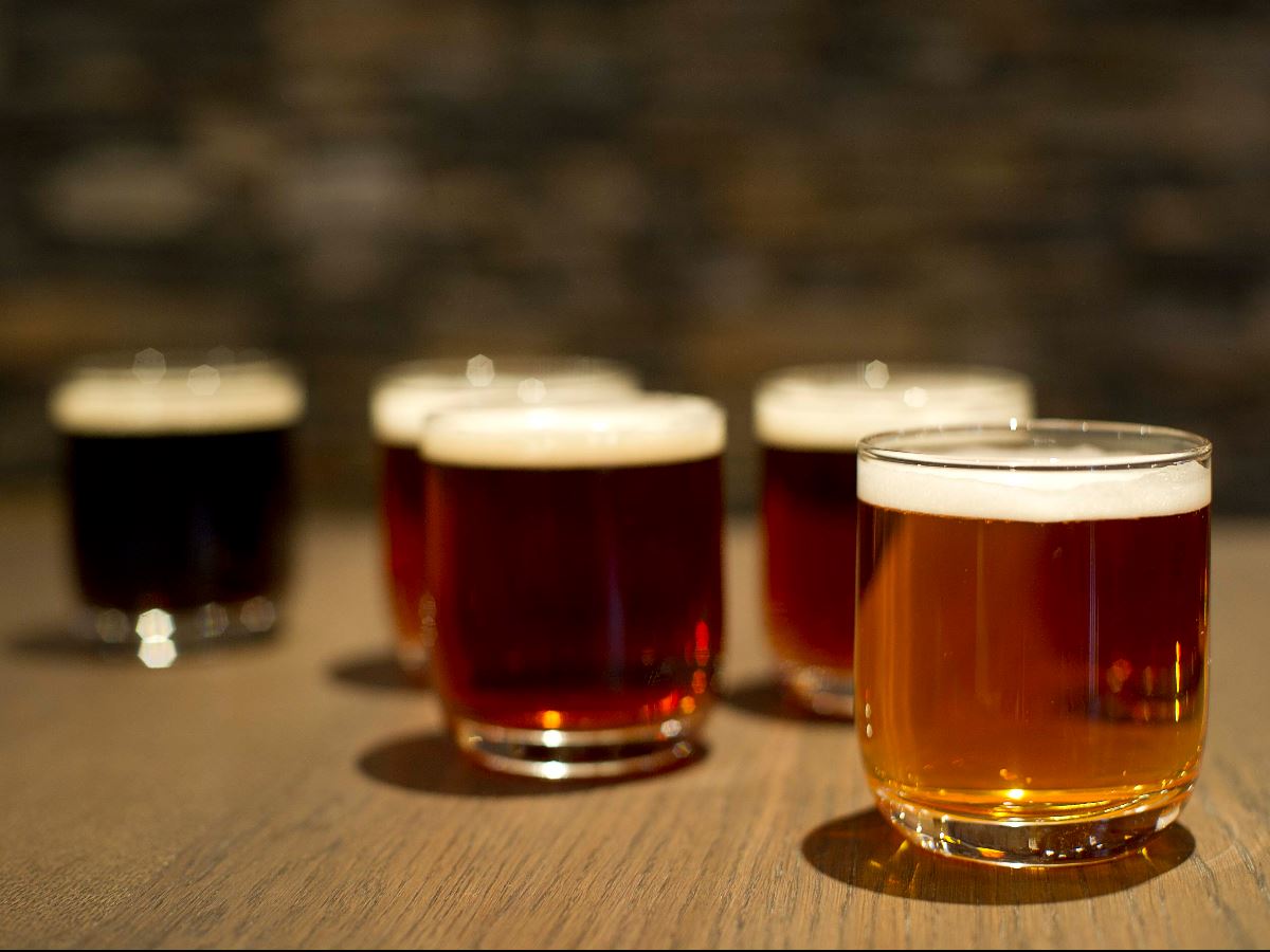 Daily beer tasting, Activities