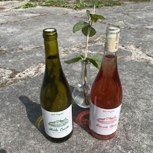 STF Hablingbo Gute vineyard