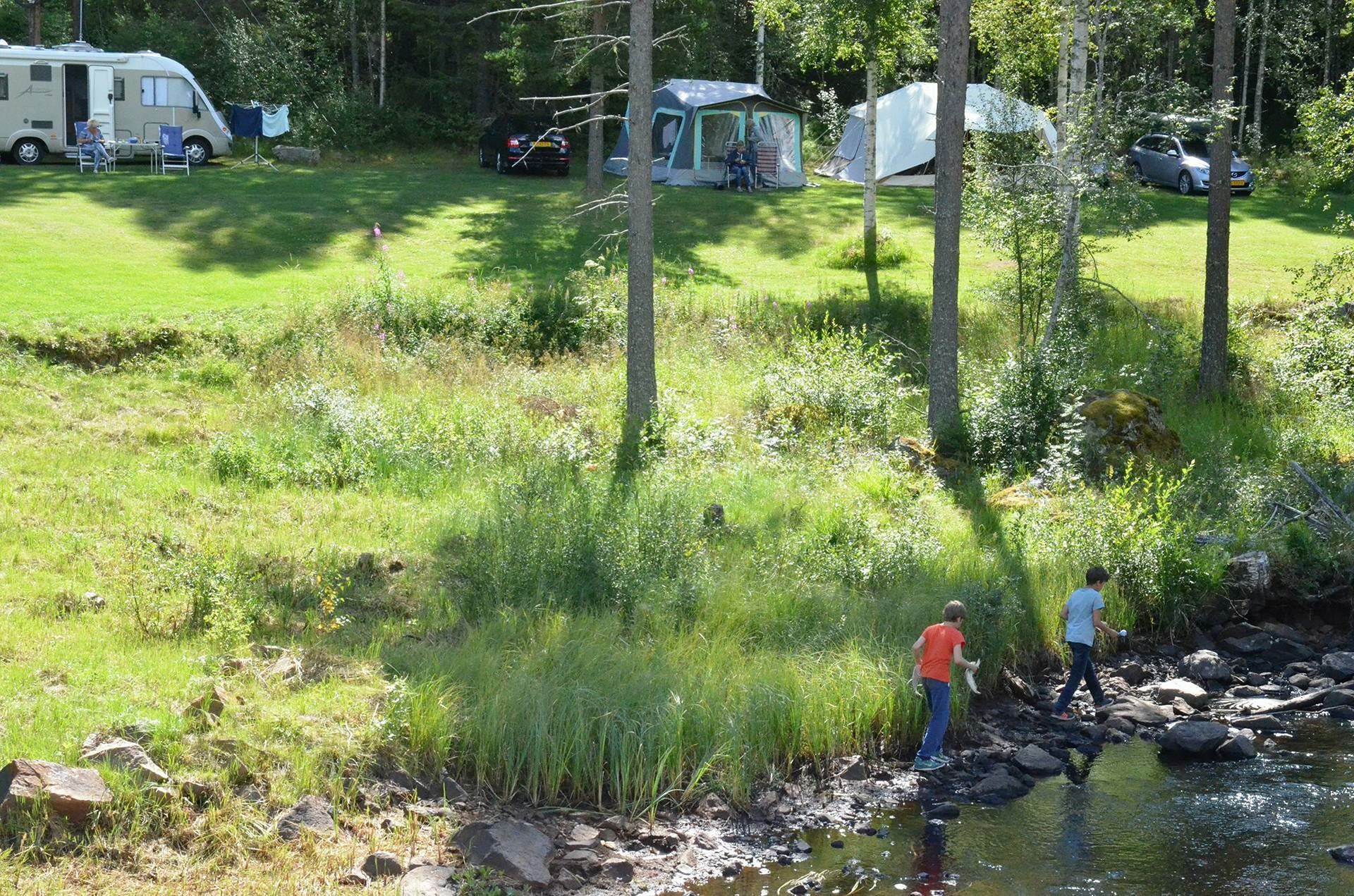 Wildlife Sweden Camp Ängra