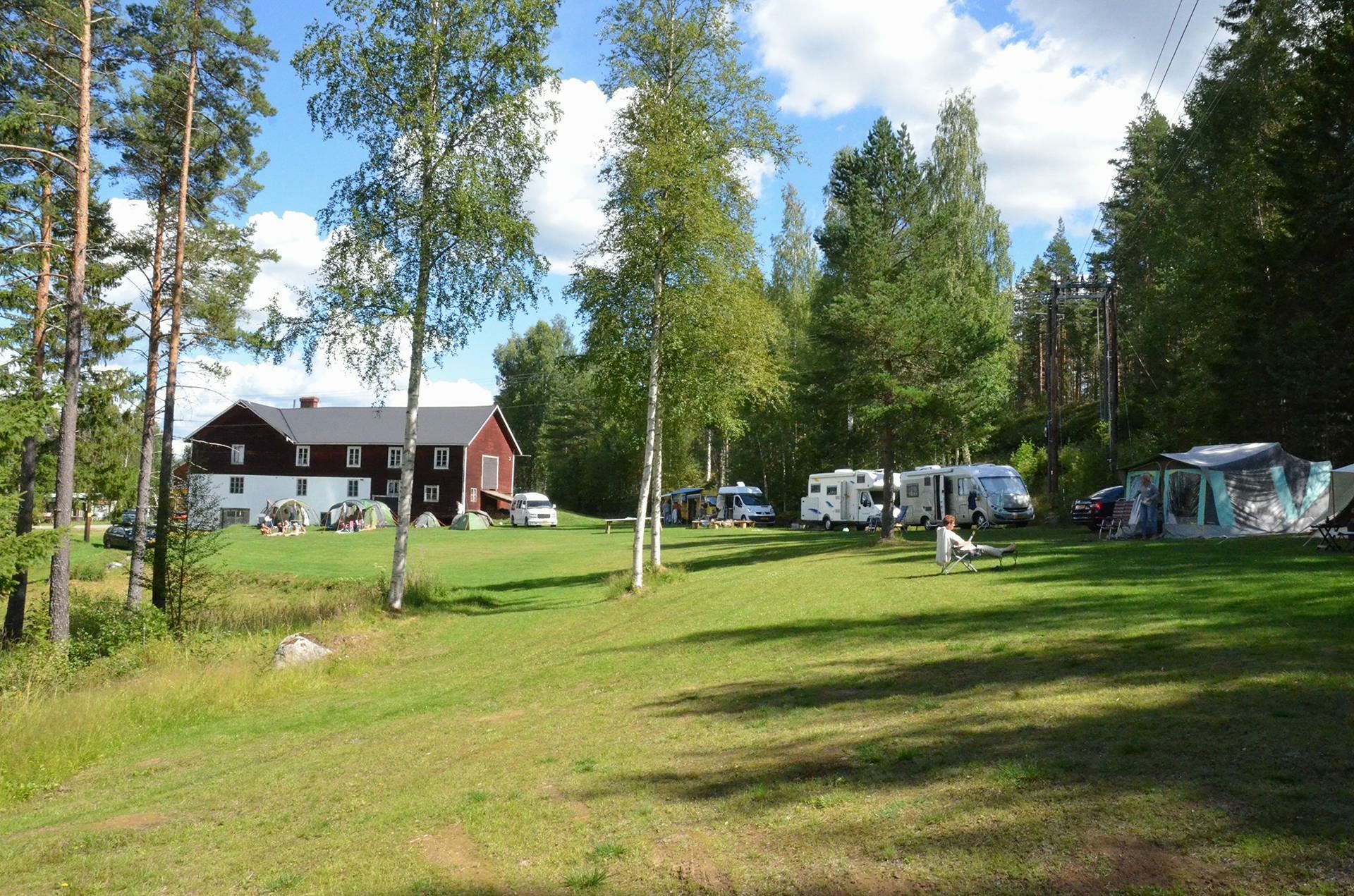 Wildlife Sweden Camp Ängra