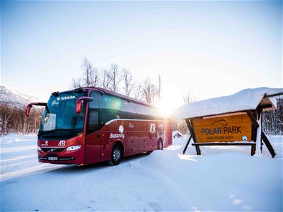 The Arctic Route bus