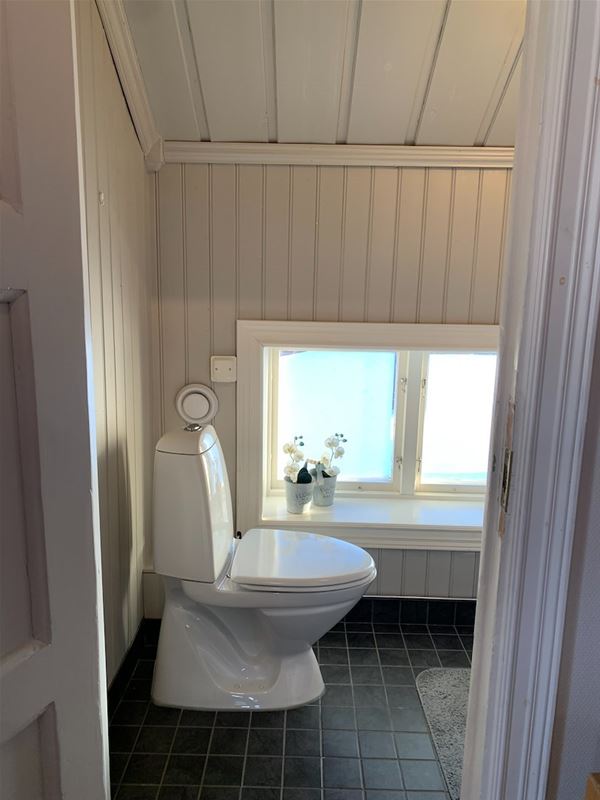 White toilet seat and a window.