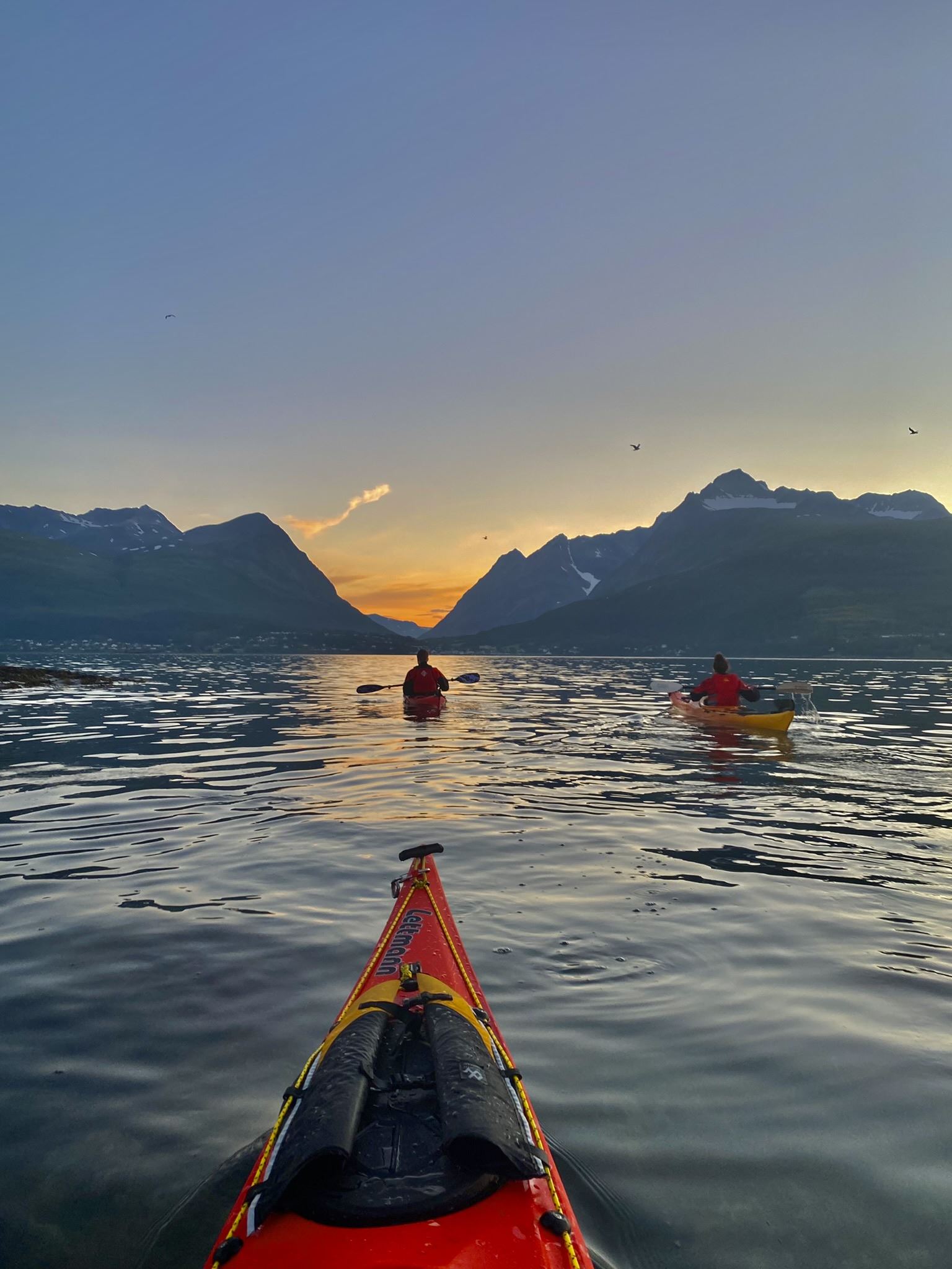 Visit Lyngenfjord