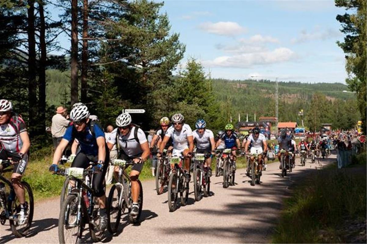 Cyklister i klunga.