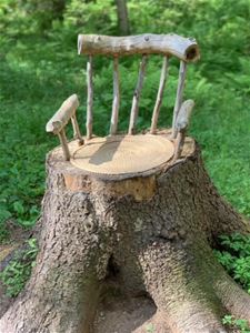 A chair on a stump.