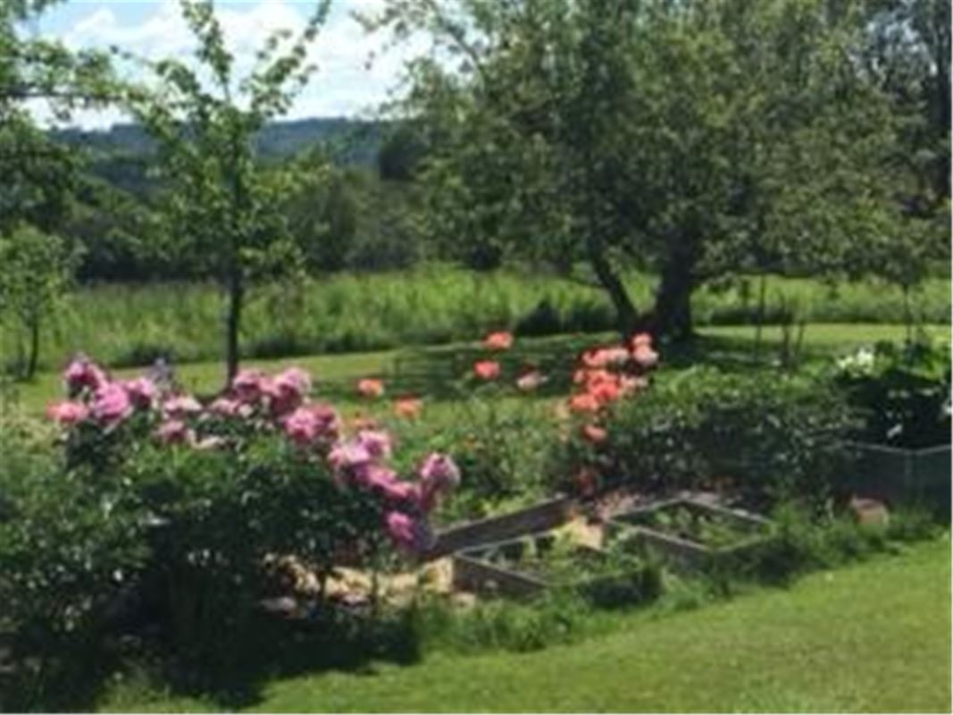 Trädgård med träd och blomsterrabatter. 