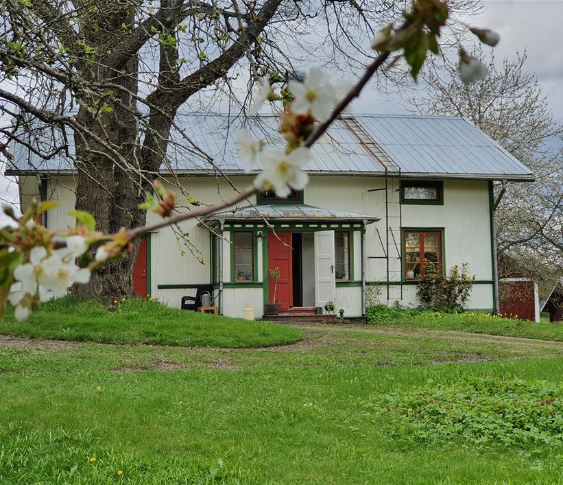 Ett vitt hus med röd dörr och gröna knutar