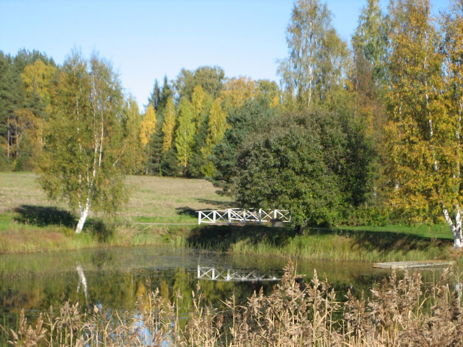 Svanbackens restaurang