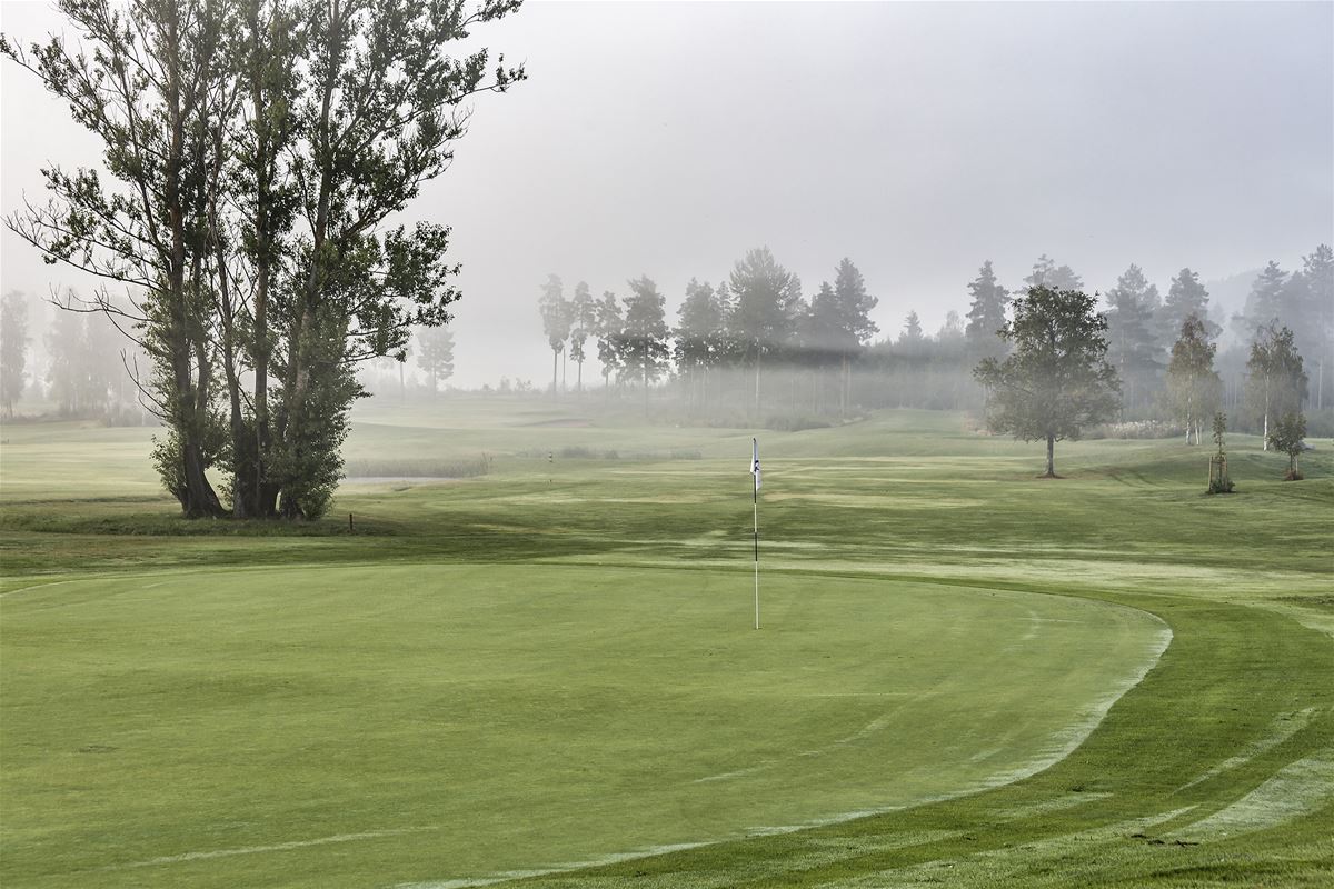 En flagga vid ett golfhål, träd och dimslöjor i bakgrunden.