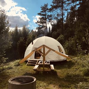  Frisbo Lodge and Camp - Glamping i Hälsingland