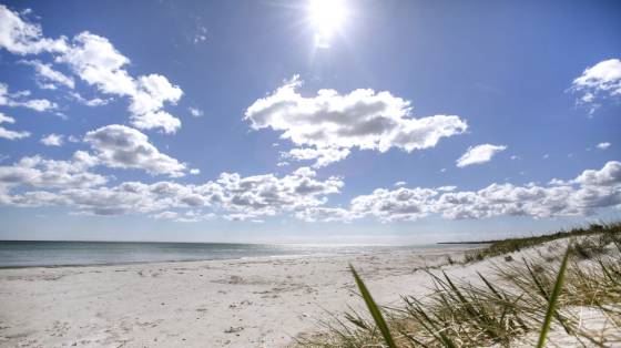 Bingsmarkens Camping