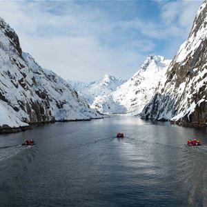Lofoten Islands and Northern Lights Expedition