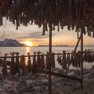 Lofoten Islands and Northern Lights Expedition