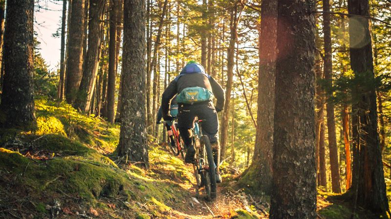 Grön skog med cyklist i full fart bakifrån