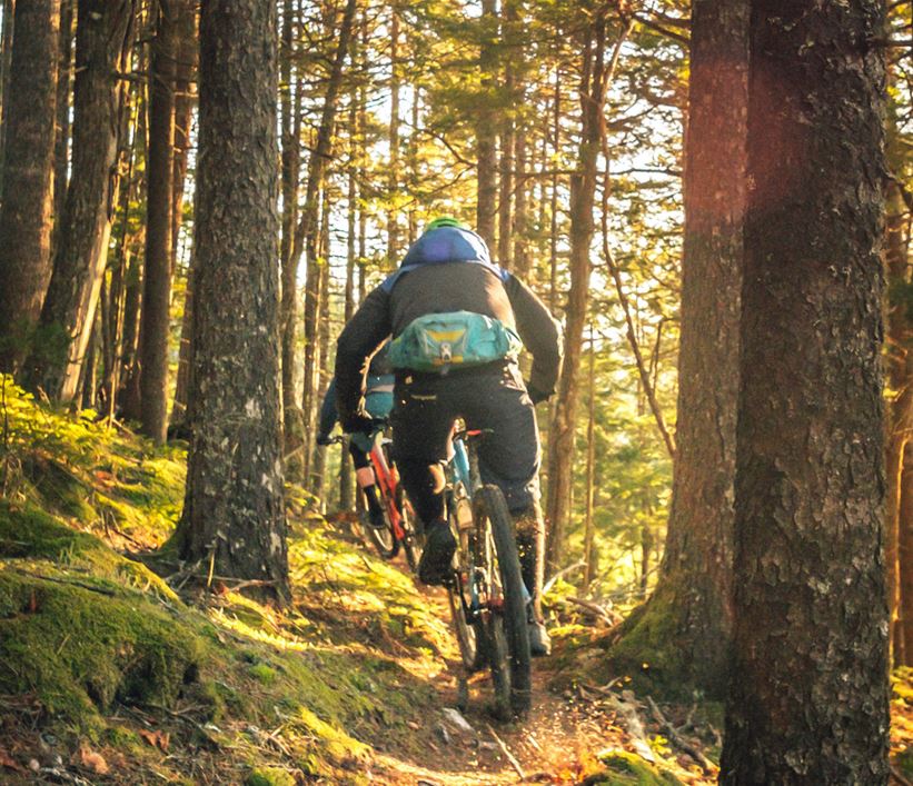 Grön skog med cyklist i full fart bakifrån