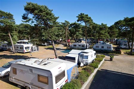 sonnensegel 7 x 7 m Sonnensegel, m, UV-Schutz, für Garten, Terrasse, Schattenstoff, mit gratis Seil und Ösen, weiß, farbecht und reißfest, Weiß Schutzblech vorn, silber für All-Over-Print Size:S6