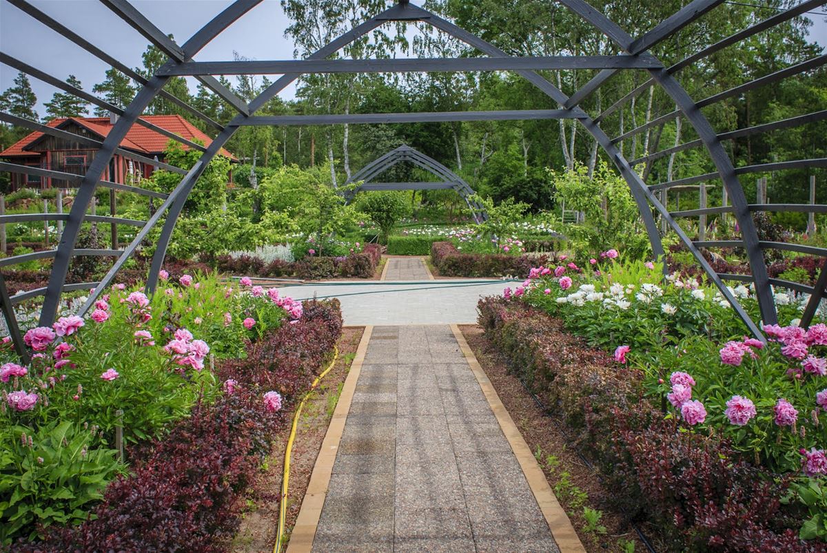 Senses yoga  image 1