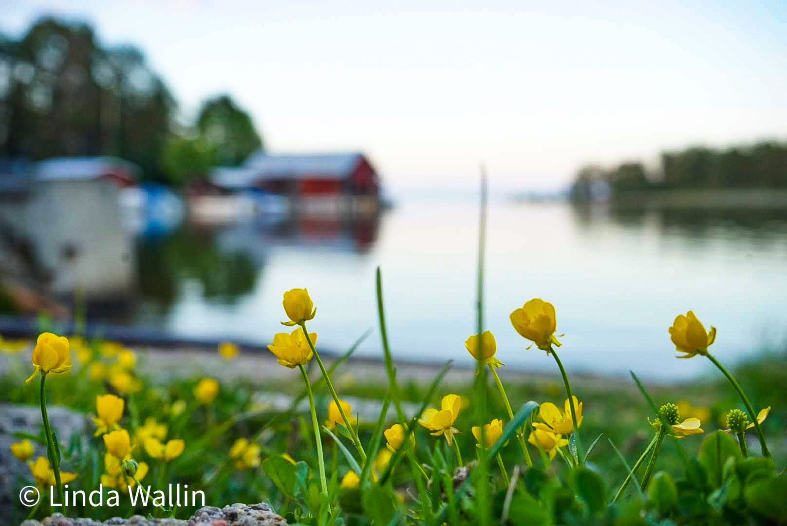 Norrfjärdens Camping