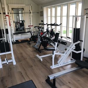 Träningsmaskiner i ett litet gym.